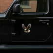 Patriotic Eagle Compass Sticker 18Cm Waterproof Matte Vinyl Stixy Copy premium vinyl sticker image 612
