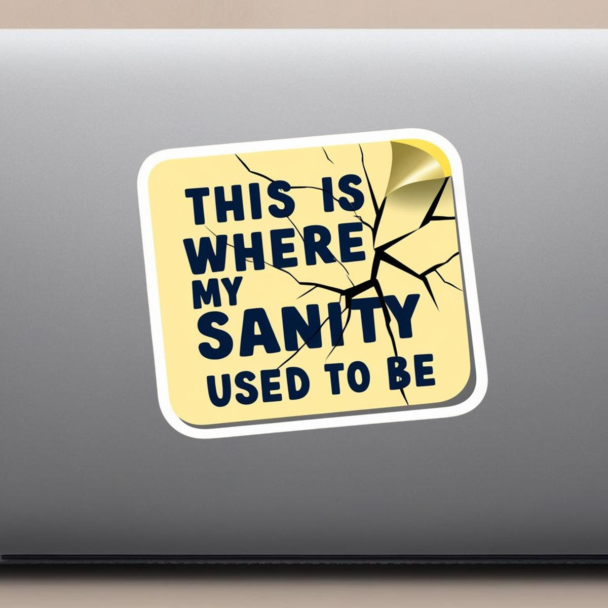 This Is Where My Sanity Used To Be premium product image 2