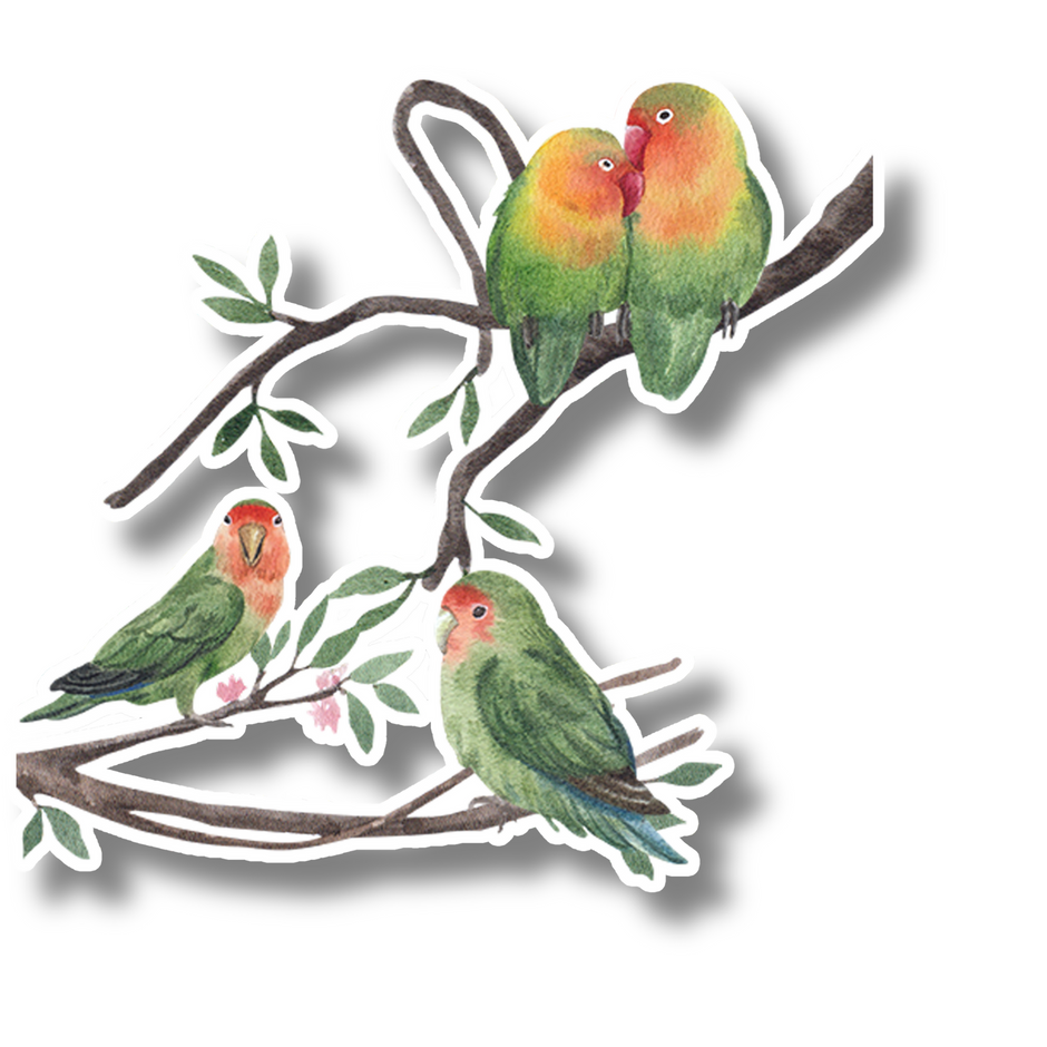 Watercolor Lovebirds Sticker – Romantic Parrots on Tree Branch | Water-Resistant premium vinyl sticker product image 1