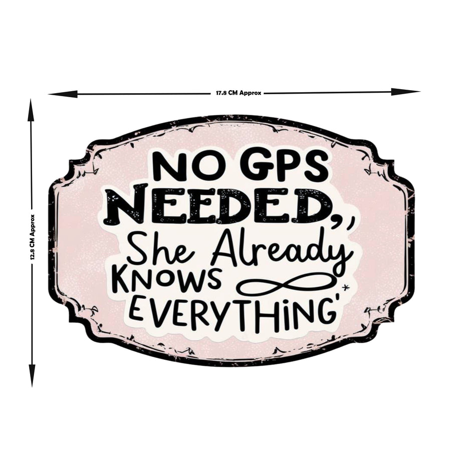 No Gps Needed She Already Knows Everything 1 premium product image 3